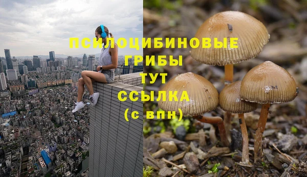ГАЛЛЮЦИНОГЕННЫЕ ГРИБЫ Лабытнанги