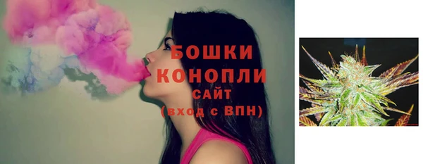 спиды Лагань