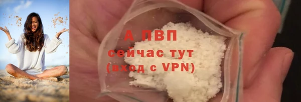 спиды Лагань