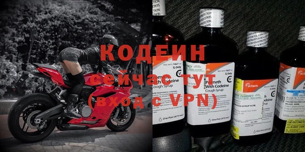 спиды Лагань