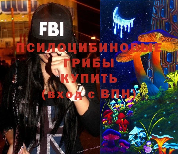 спиды Лагань